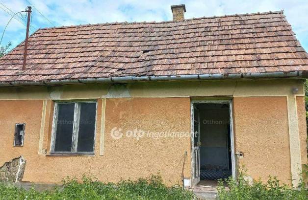 Tiszavasvári családi ház eladó, 1 szobás