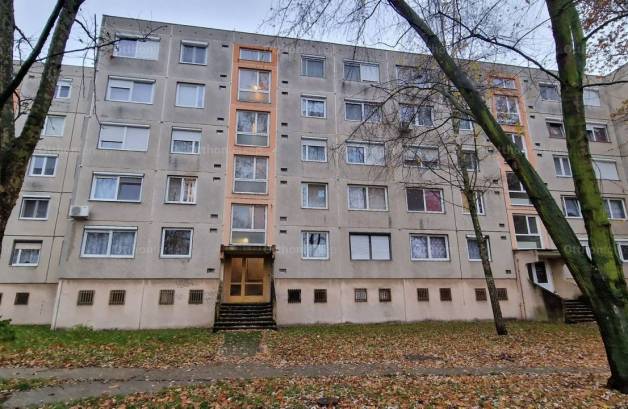 Eladó lakás Dorog a Schmidt Sándor lakótelepen 25-ben