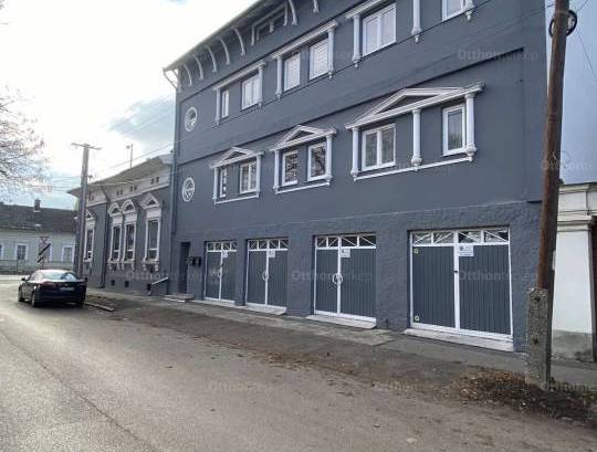 Szegedi családi ház eladó, 950 négyzetméteres, 14 szobás