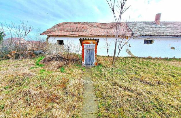Tiszaföldvár 3+1 szobás családi ház eladó